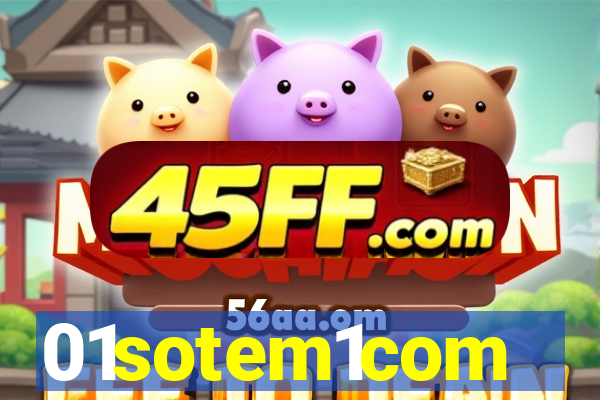 01sotem1com