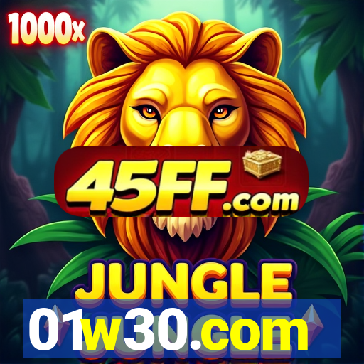 01w30.com