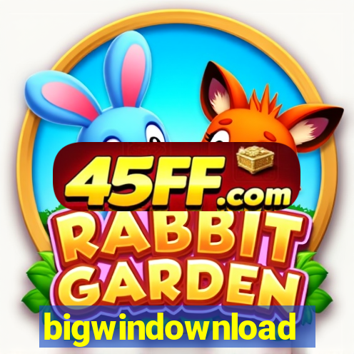 bigwindownload