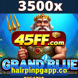 hairpinpgapp.com