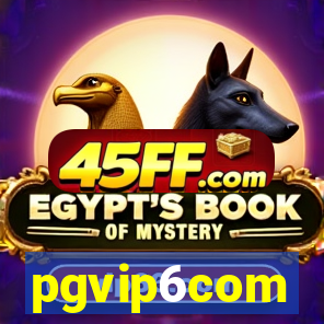 pgvip6com