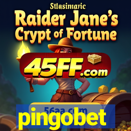 pingobet