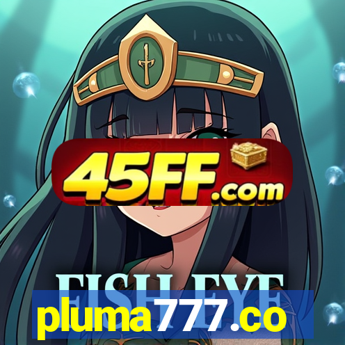 pluma777.co