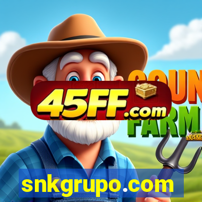 snkgrupo.com