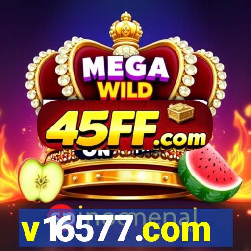 v16577.com